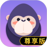 酷我聚星尊享版