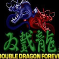 双截龙3超级技能版
