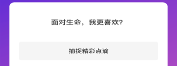 兔子先生视频app合集