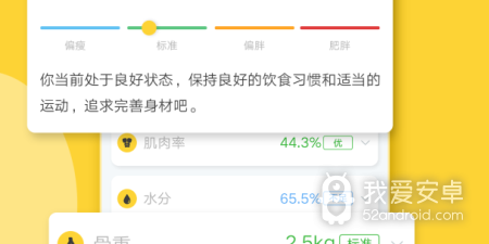 简单好用的减脂app合集