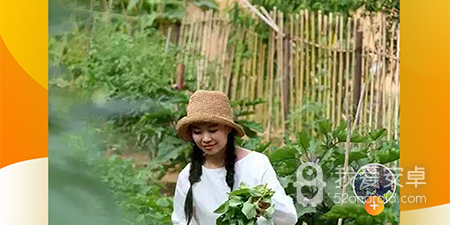 像吆秀短视频这样的app合集