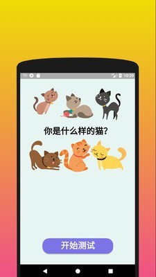 你是什么样的猫