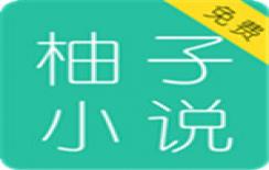 柚子小说书源