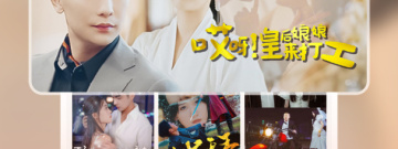 可以看史上最强太子爷短剧的app合集