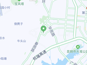 最常用的打车app合集