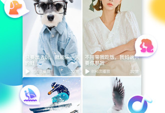 跟斗鼠短视频差不多的app合集