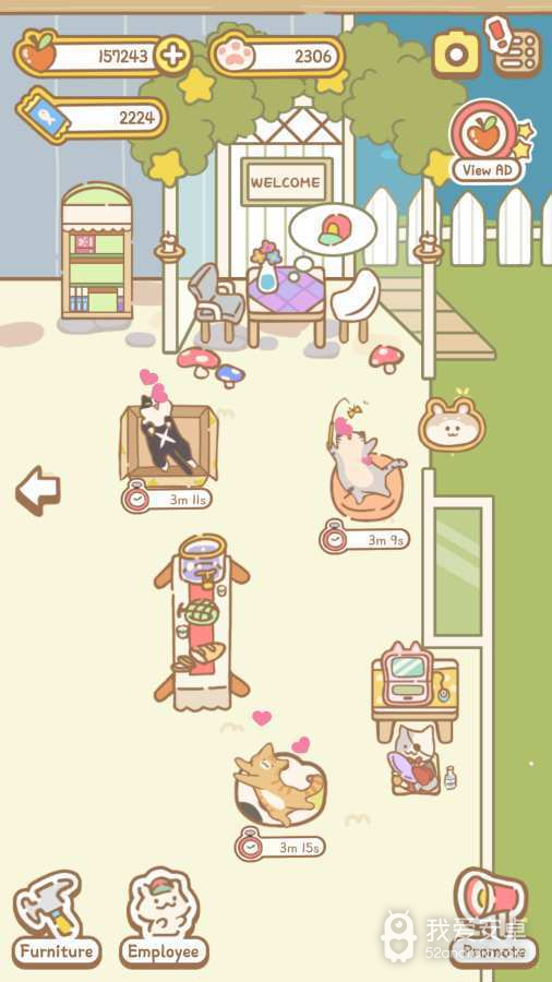猫咪Spa