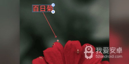 便捷的图片处理app合集