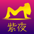 紫夜直播高清版