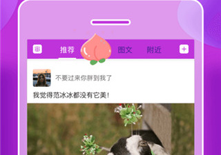 和觅语交友差不多的app合集