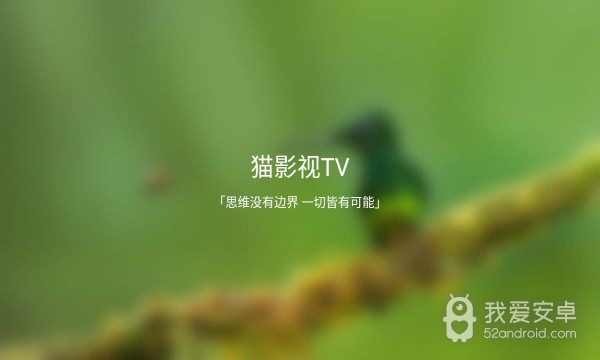 猫影视tv内置版