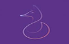 小狐仙直播纯净版