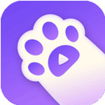 猫趣直播纯净版