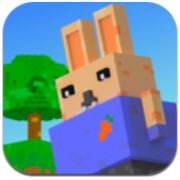 我的胡萝卜丢了