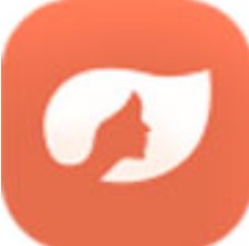 浅浅视频无限观看版