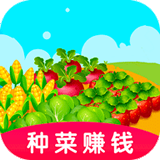 赚到钱的app合集