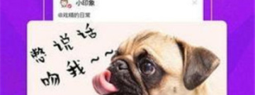 和杏吧视频很像的app合集