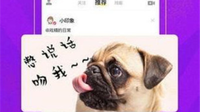 和杏吧视频很像的app合集