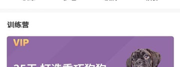 类似养宠物的手游合集