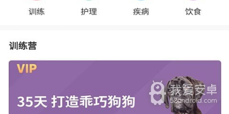 类似养宠物的手游合集