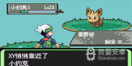 口袋妖怪空之花神最新版手游合集