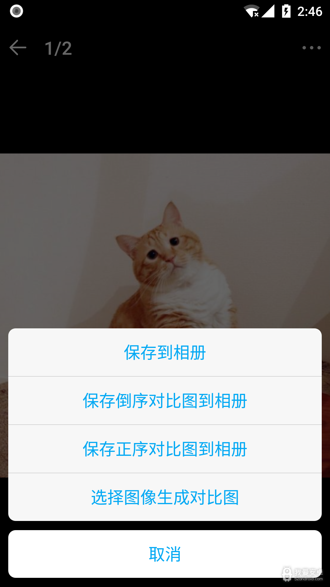 猫咪记账本