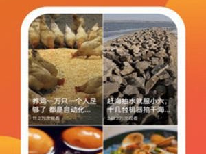 类似种种视频的app合集