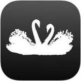 天鹅直播vip破解版