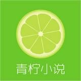 青柠小说去广告版