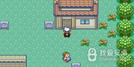 口袋妖怪绿宝石802最新版手游合集