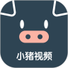 小猪视频无限制免费版