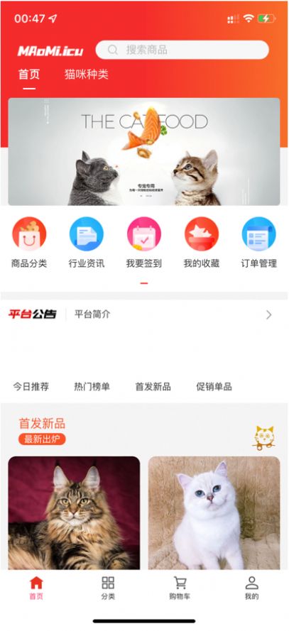 新版猫咪3.1.0