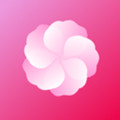 芙蓉直播纯净版