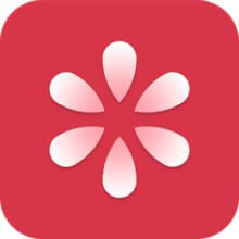 村花论坛正式村民版