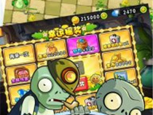 与阳光之地类似的手游合集