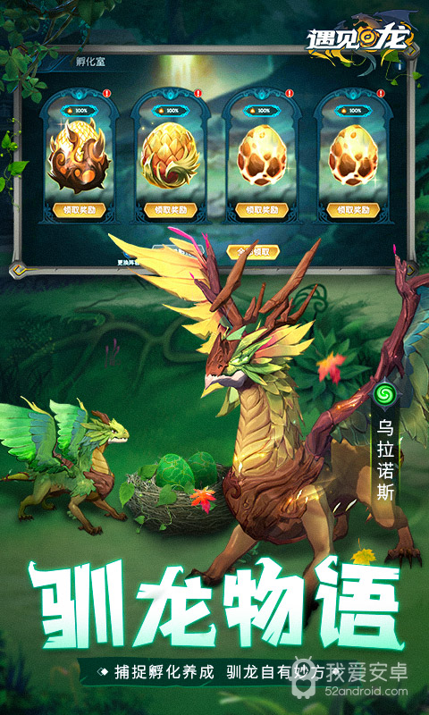 遇见龙
