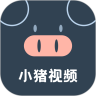 小猪视频升级版