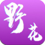 野花短视频历史版