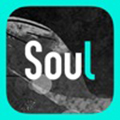 soul最高版