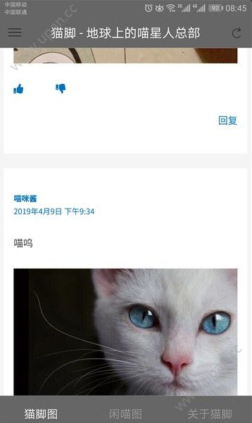 猫咪社区视频动漫