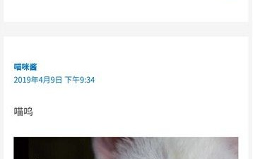 和猫咪视频差不多的app合集