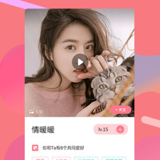 四虎免费视频app合集