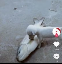 永久免费看短剧的app合集