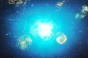 带你去看海底星空意思详情