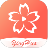 樱花视频