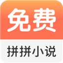 拼拼小说绿色版