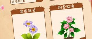 家装玩法手游合集