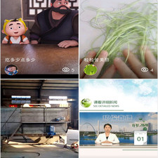 关于环保类的手游合集