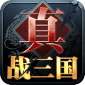 真战三国单机版