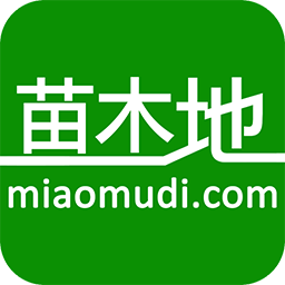 苗木地